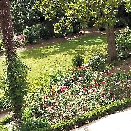 Les Cedres Montaigu-Vendee