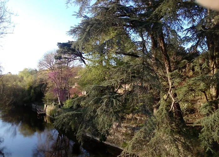 Les Cedres Bed and breakfast Montaigu-Vendee