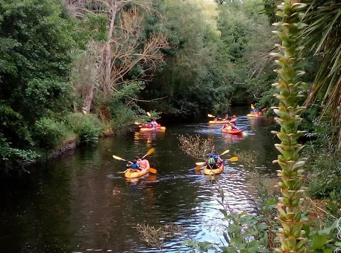 Bed and breakfast Les Cedres Montaigu-Vendee